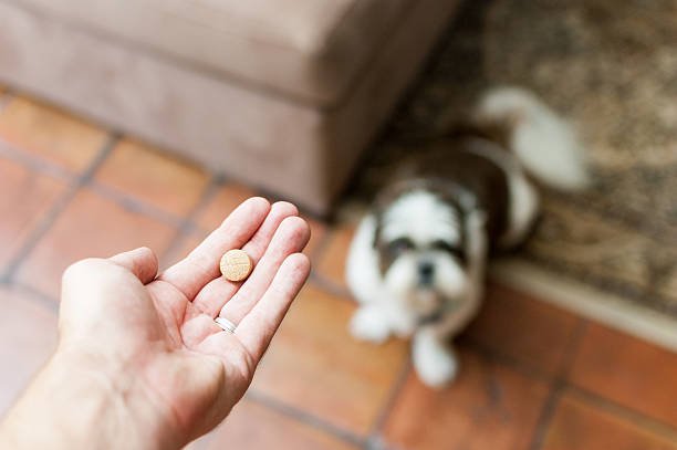 No Worms - dogs - Petfriend stores بتفريند ستورز