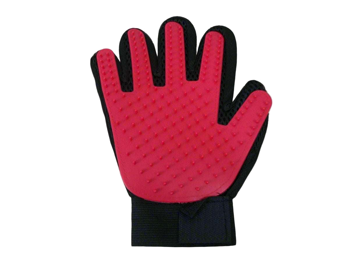 جوانتي استحمام قطط كلاب