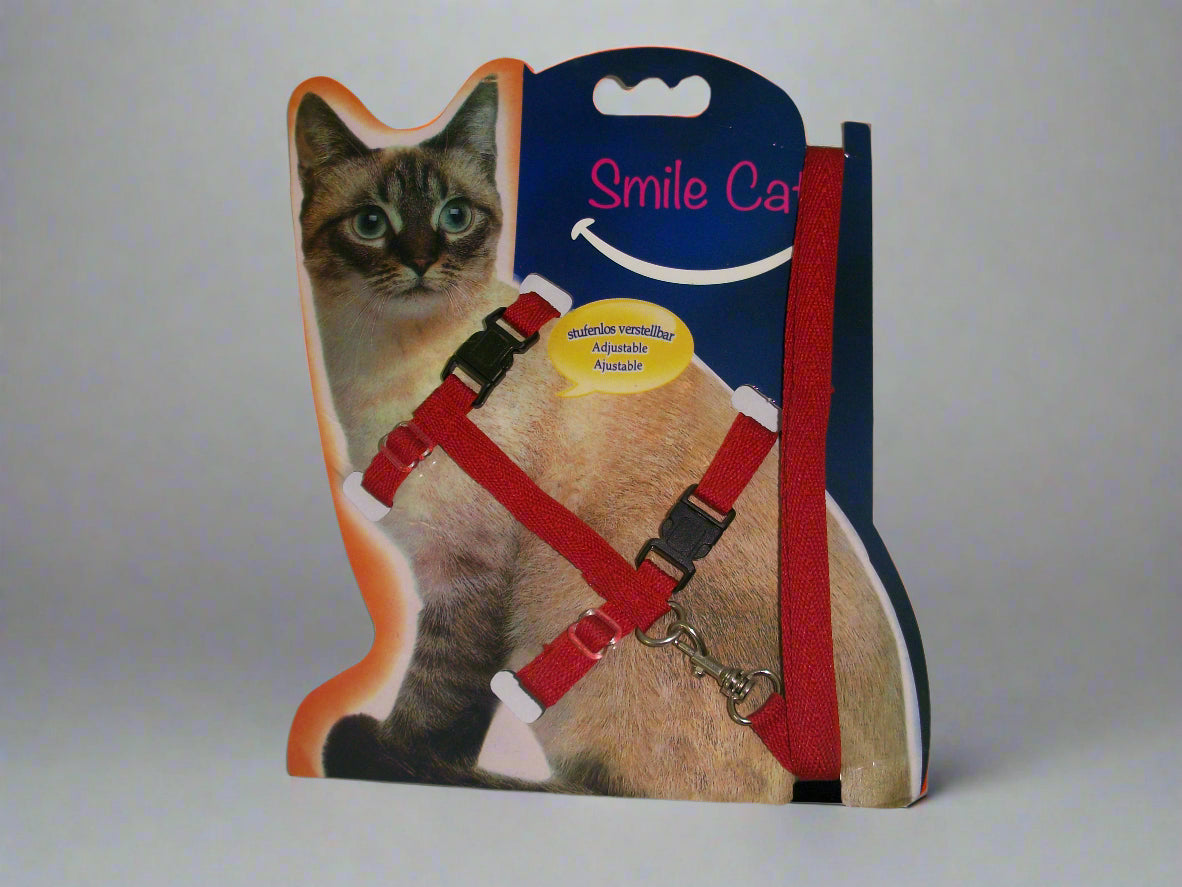 قطط اكسسوار