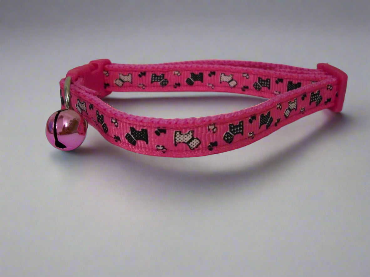 cat collar