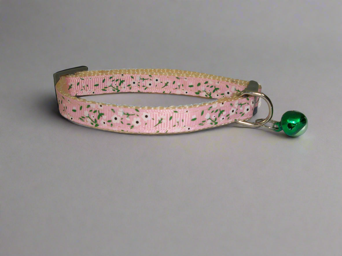 cat collar
