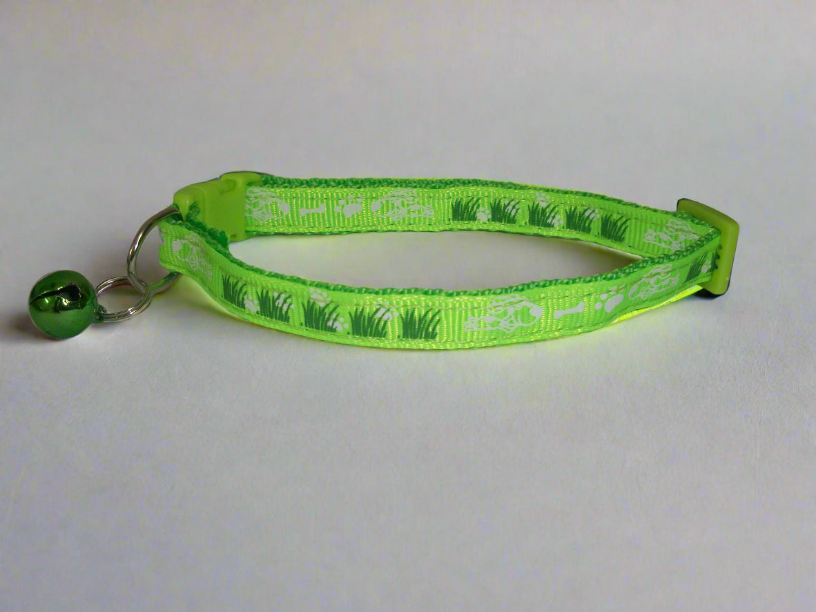 cat collar