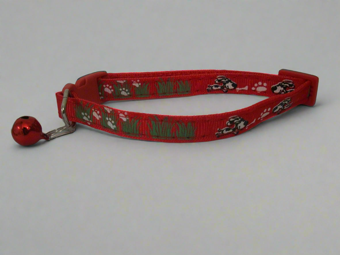 cat collar