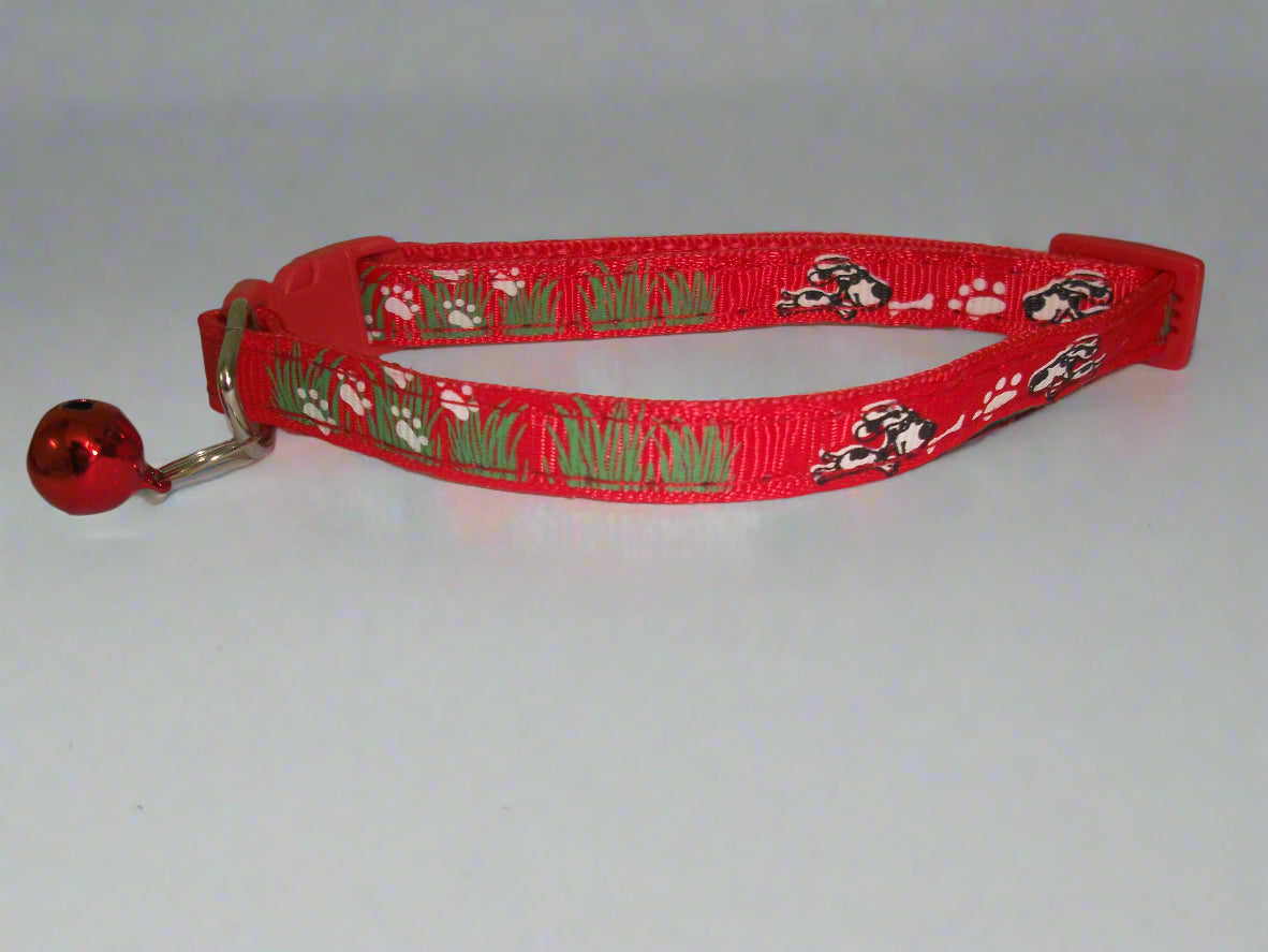 cat collar