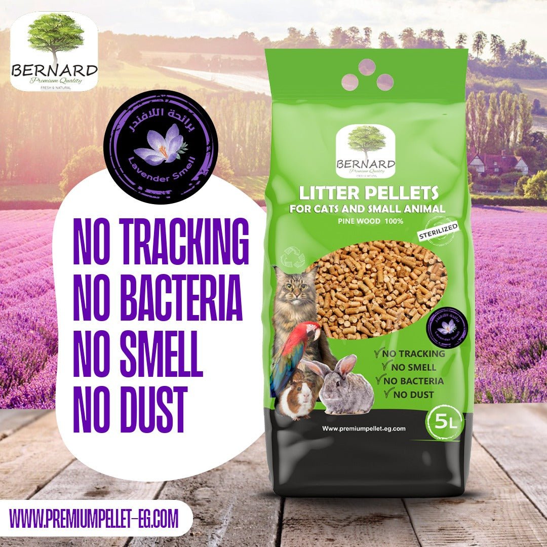 BERNARD wood pellets cat litter 5 L - Petfriend stores بتفريند ستورز
