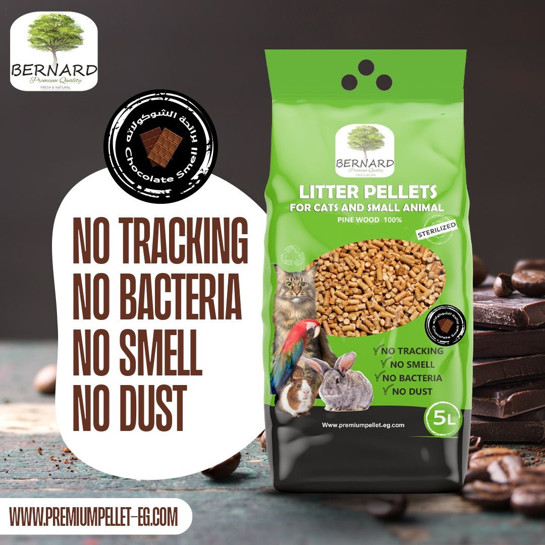 BERNARD wood pellets cat litter 5 L - Petfriend stores بتفريند ستورز
