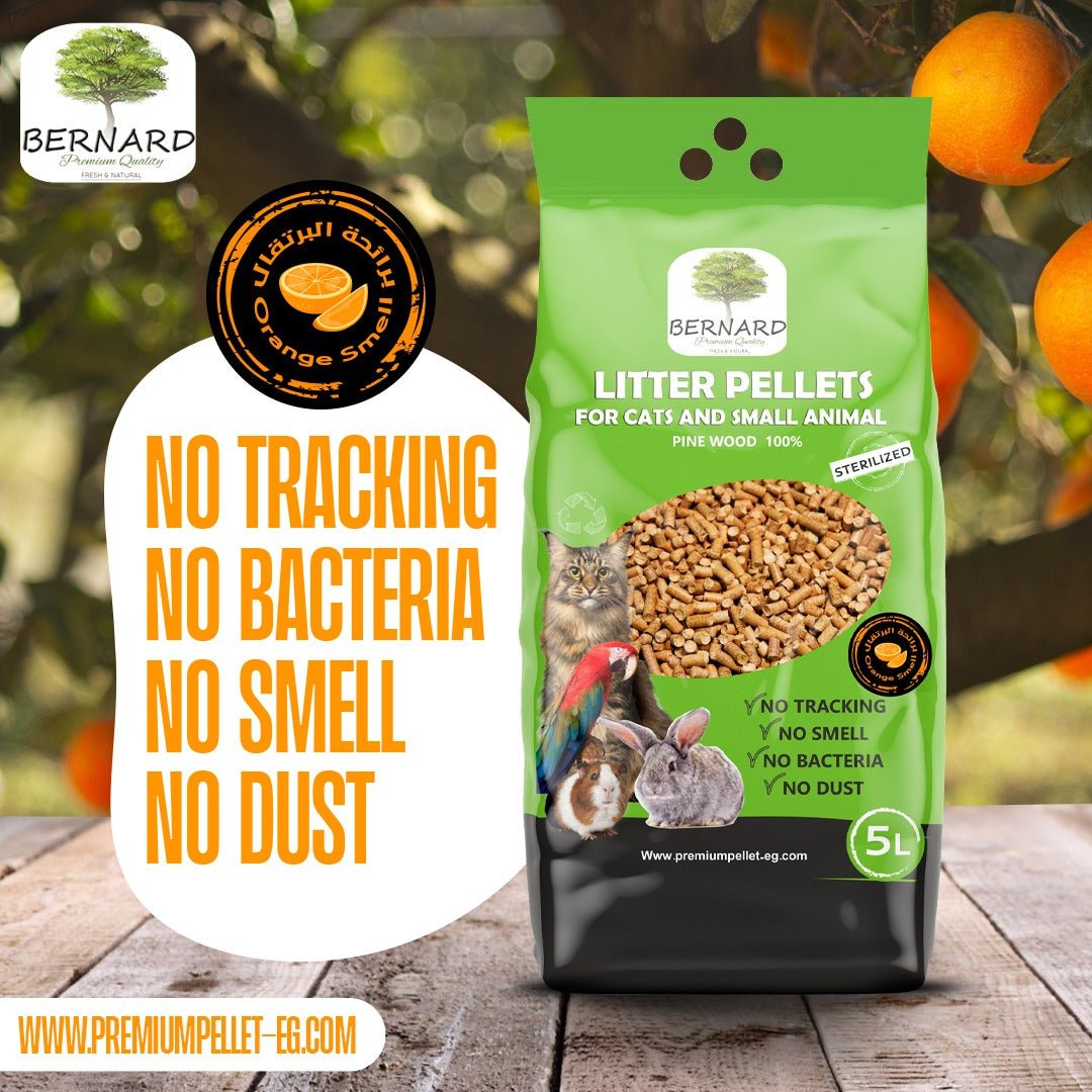 BERNARD wood pellets cat litter 5 L - Petfriend stores بتفريند ستورز