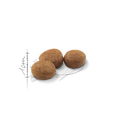 Royal Canin Regular STERILISED 37 cat dry food 2 KG