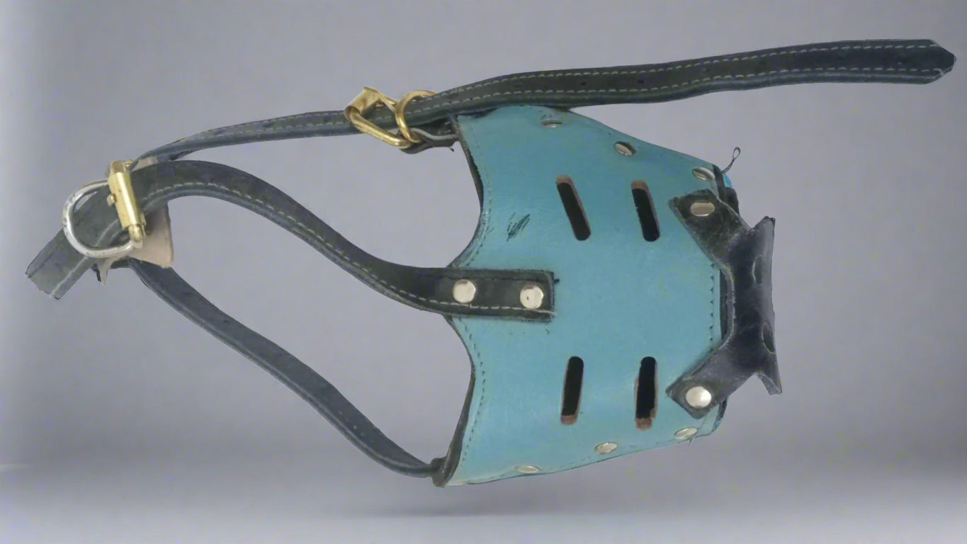 Medium sized leather dog muzzle