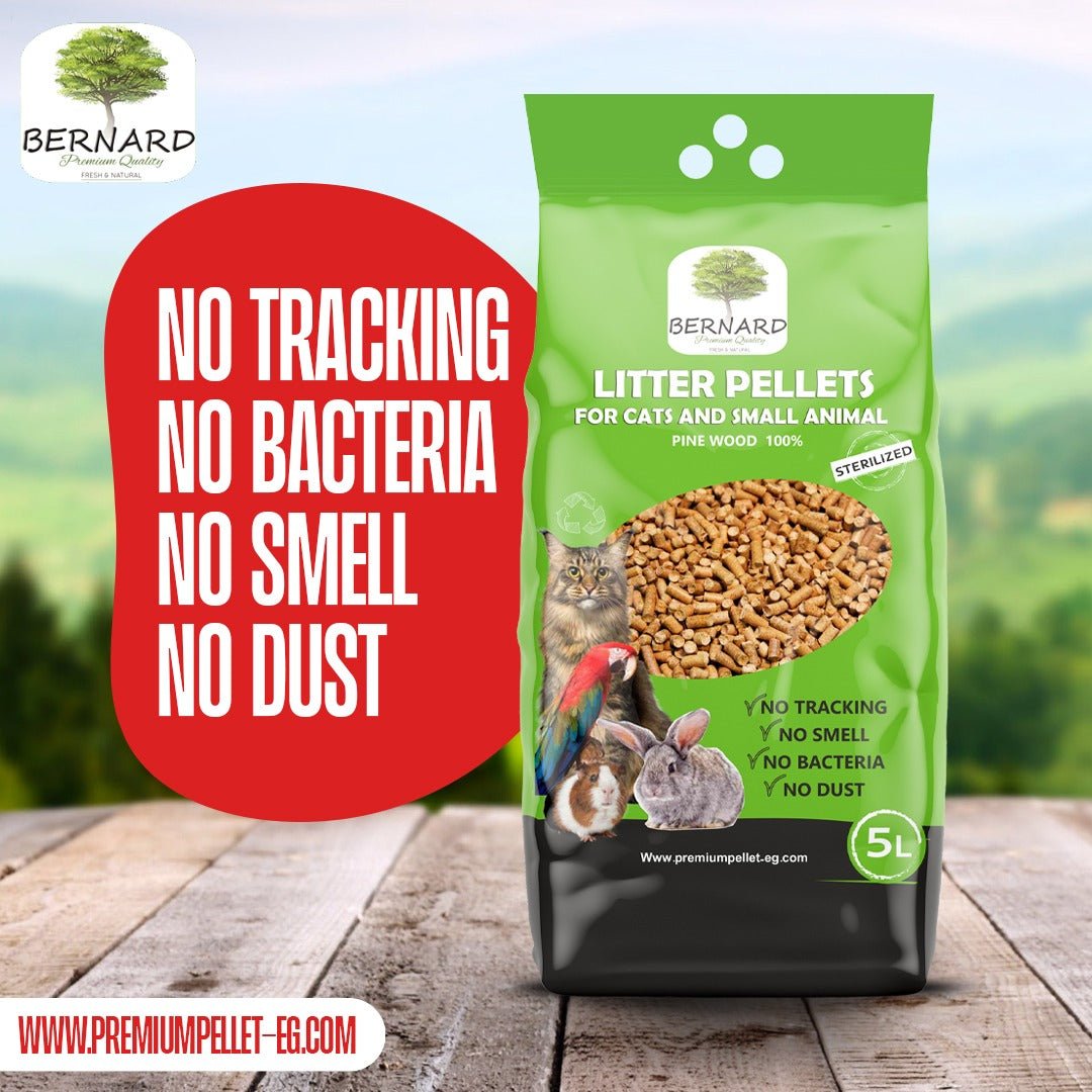 BERNARD wood pellets cat litter 5 L - Petfriend stores بتفريند ستورز
