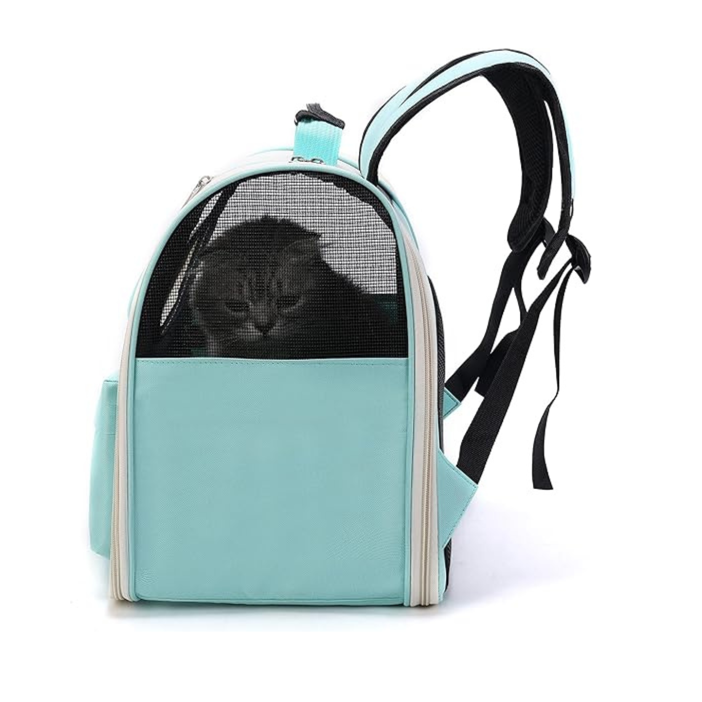 Light blue pet carrier backpack with a cat inside on a white background