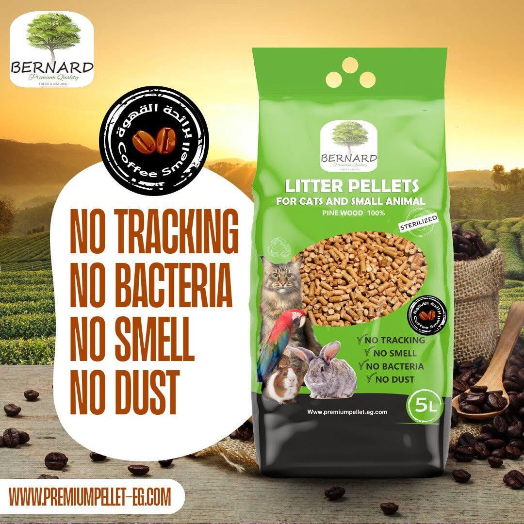 BERNARD wood pellets cat litter 5 L - Petfriend stores بتفريند ستورز
