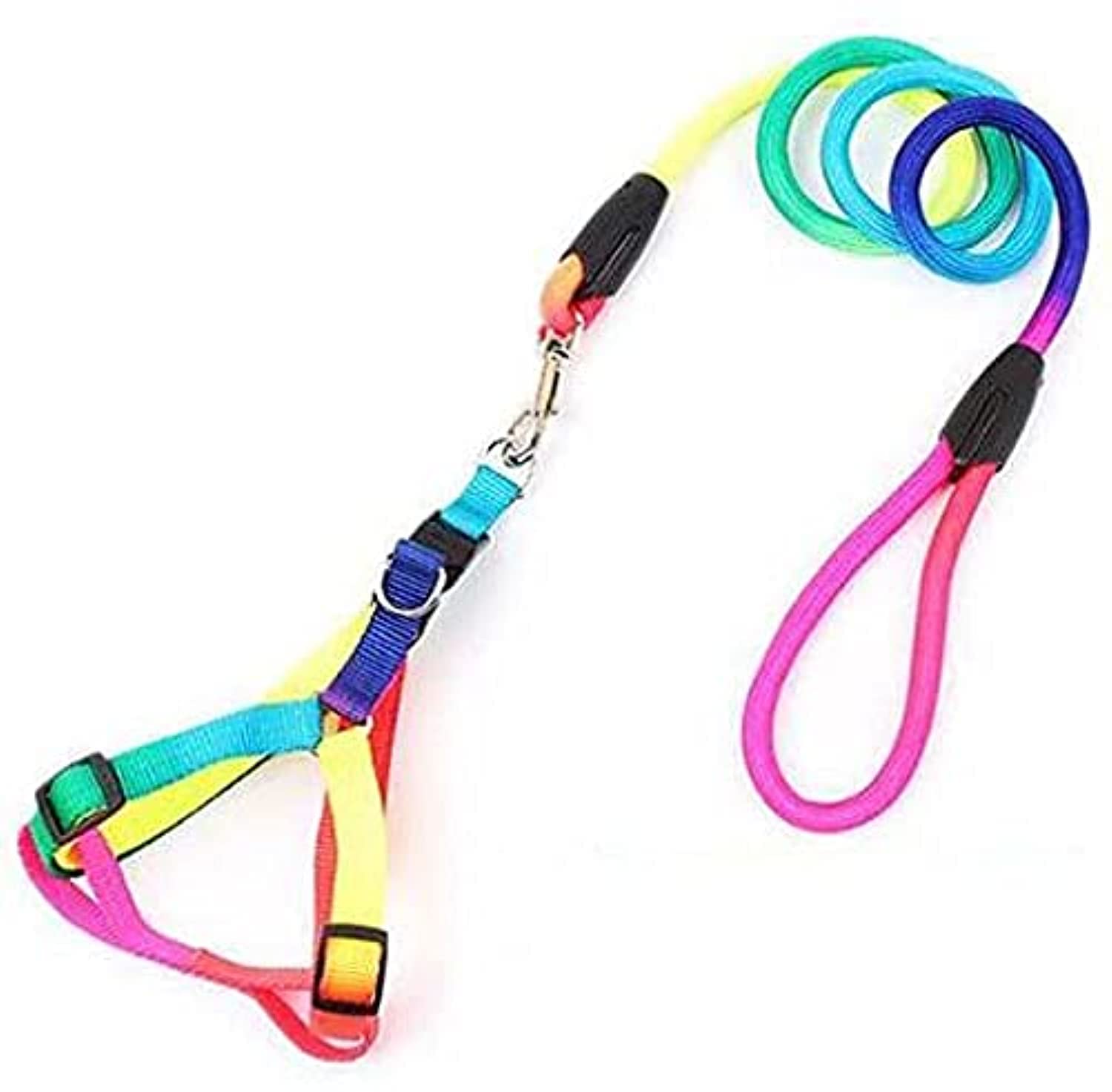 Colorful 2024 dog harness