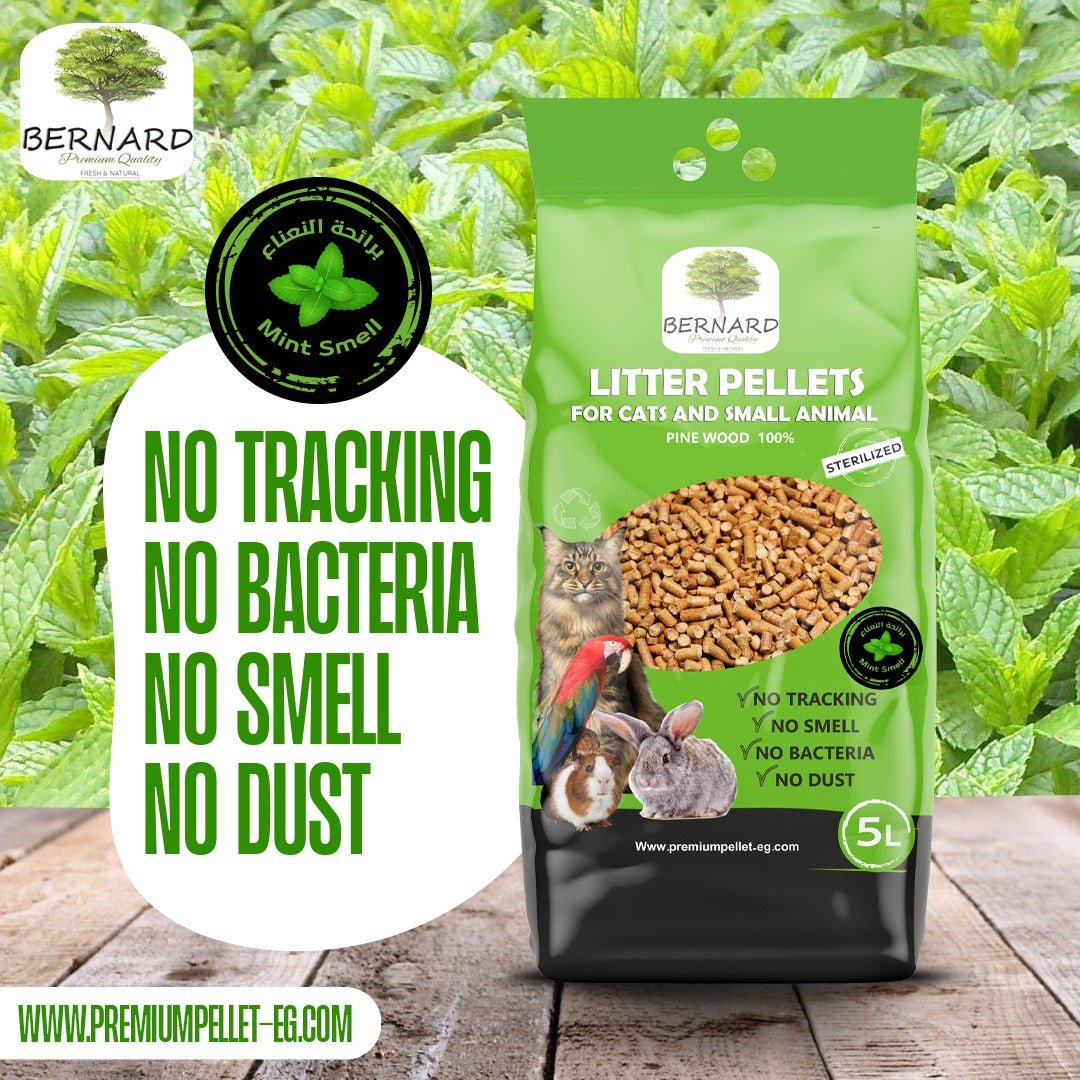 BERNARD wood pellets cat litter 5 L - Petfriend stores بتفريند ستورز