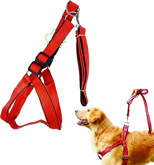 حزام ومقود داخلي مدمج للكلاب الكبيرة