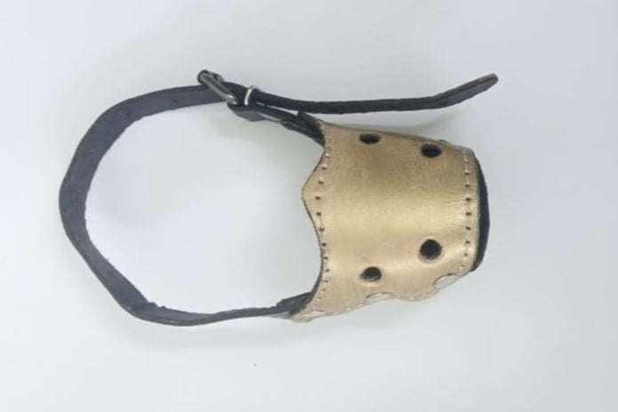 Small breeds dog & puppy muzzle