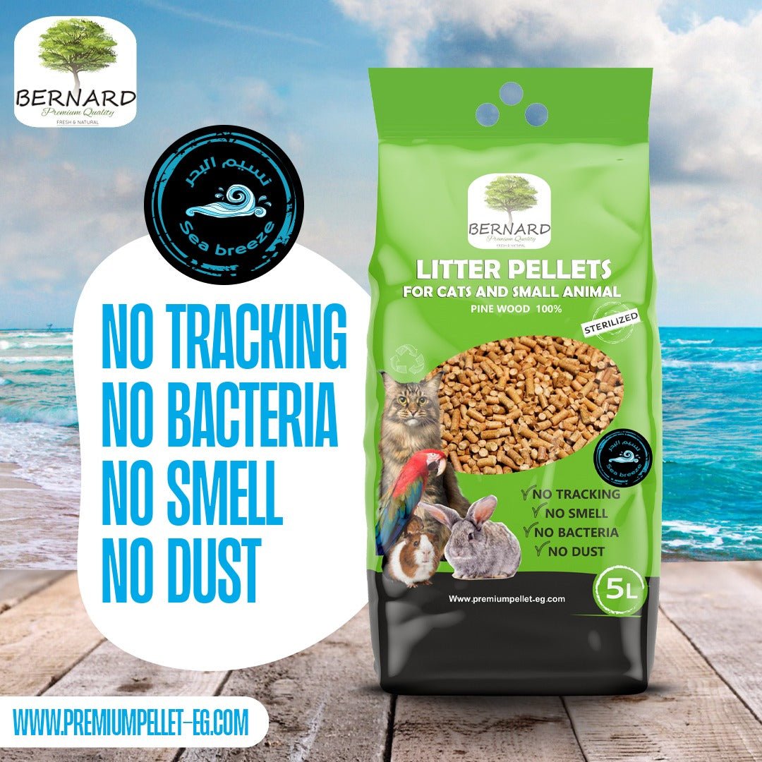 BERNARD wood pellets cat litter 5 L - Petfriend stores بتفريند ستورز