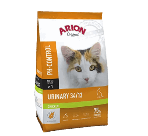 Arion اريون