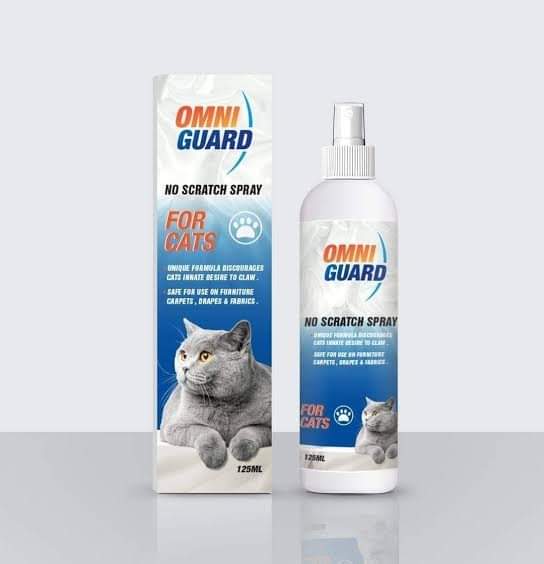 منع خربشة قطط