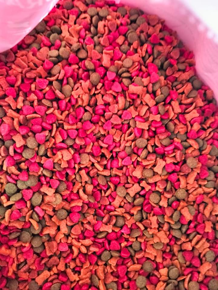 Compy دراي فود