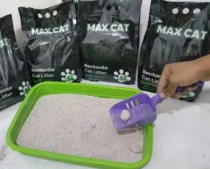 رمل القطط رخيص