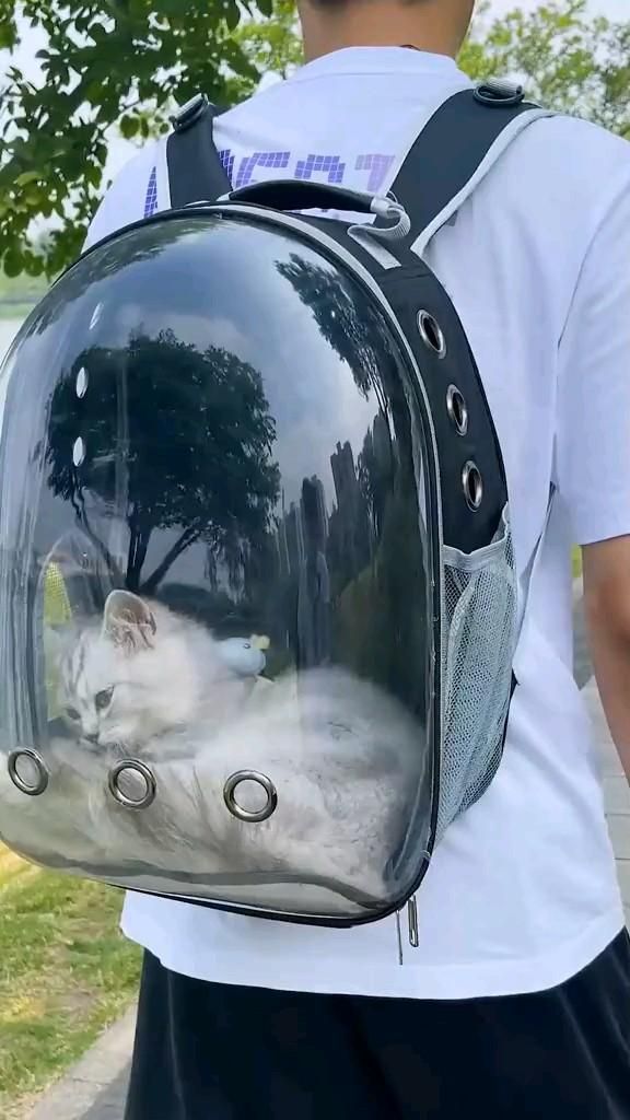 شنطة ظهر شفاف للقطط والجراوي
