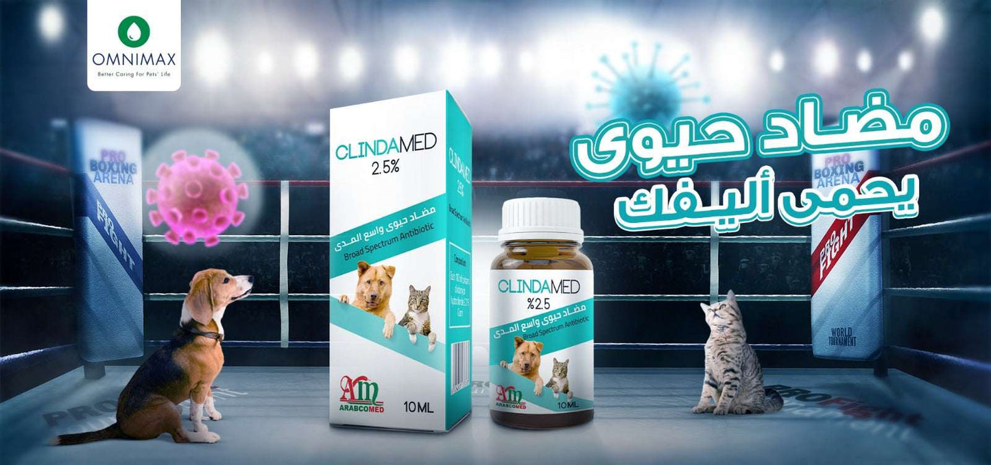 لعلاج مرض القطط البنات - كلينداميد