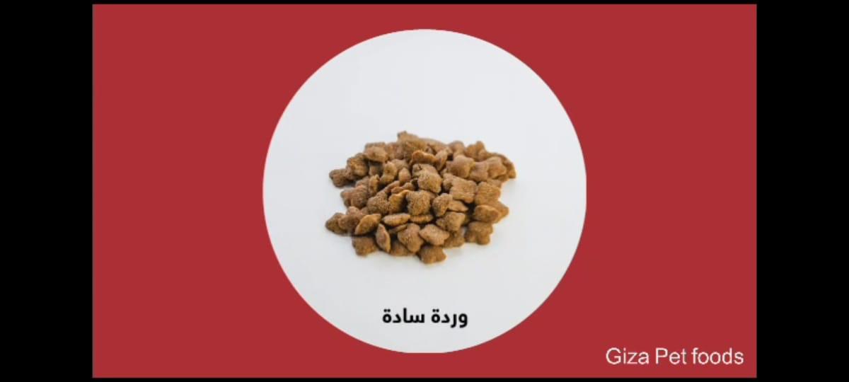 كاسيتا دراي فود