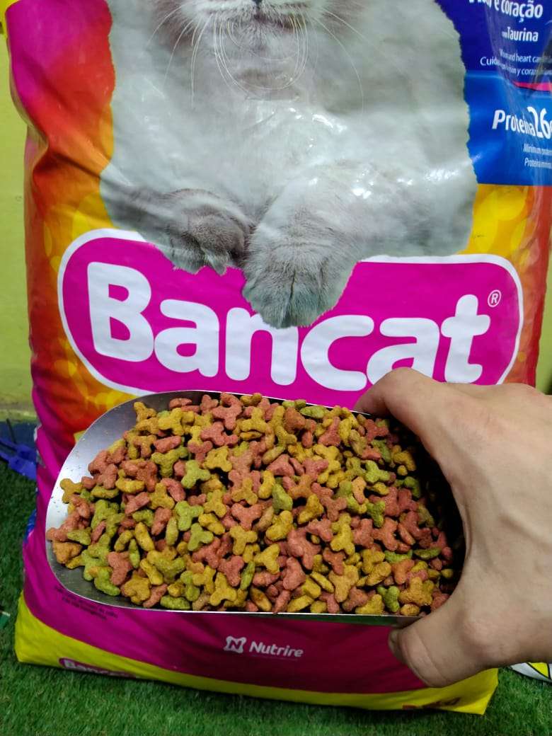 Bancat dry food 25 kg - Petfriend stores بتفريند ستورز