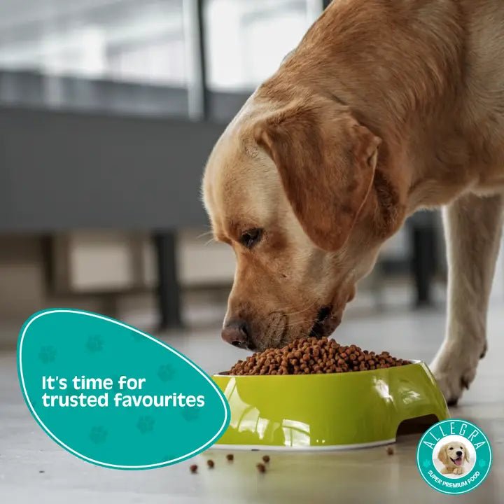 ALLEGRA adult dog dry food 15 kg - Petfriend stores بتفريند ستورز
