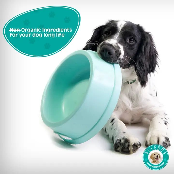 ALLEGRA adult dog dry food 15 kg - Petfriend stores بتفريند ستورز