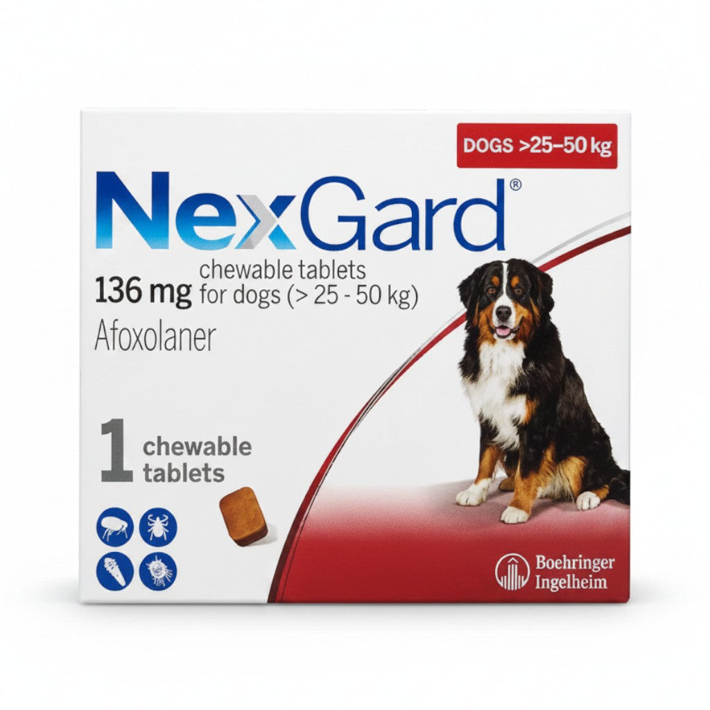 PetFriend NexGard beef-flavored chewable tablet for dogs weighing 25-50 kg for monthly flea and tick protection