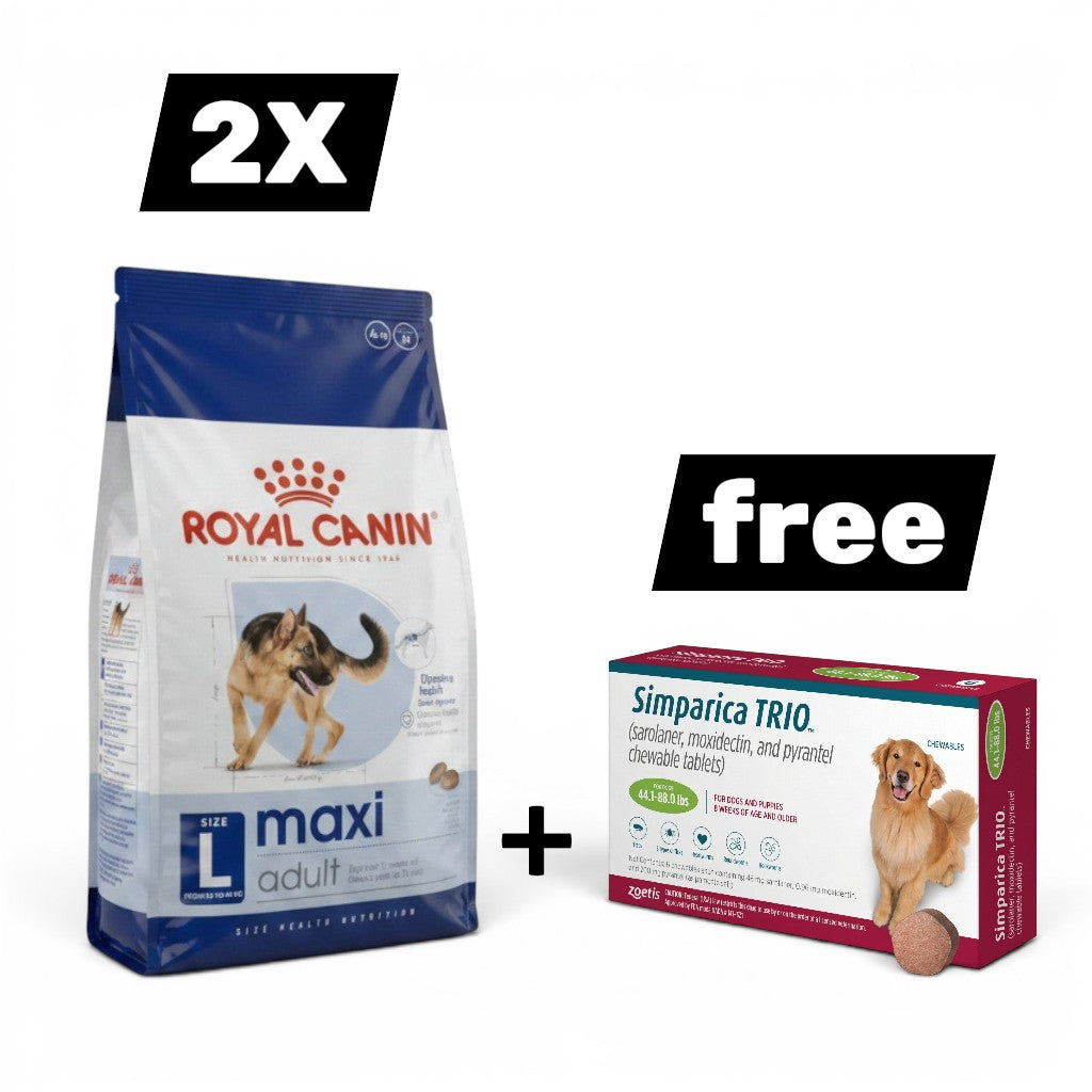 Buy 2 X Royal Canin Maxi Adult 4 kg + Simparica 20 -40 Kg tab Free Offer