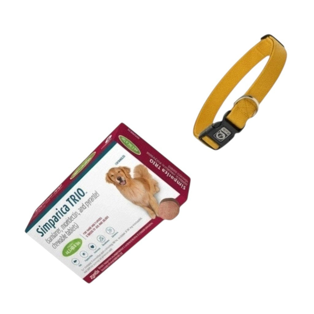 PetFriend bundle featuring Simparica TRIO chewable tablets for large dogs and a durable yellow medium dog collar