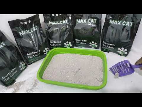 رمل قطط رخيص