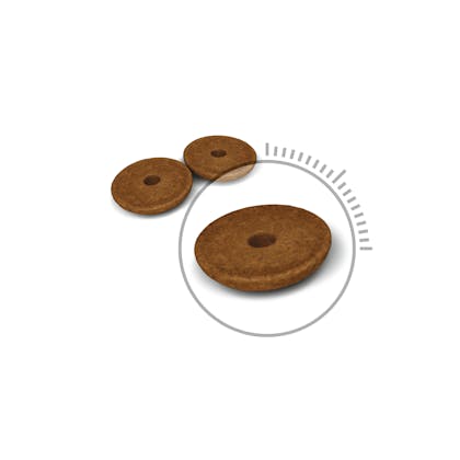 ROYAL CANIN digestive care kibble shape