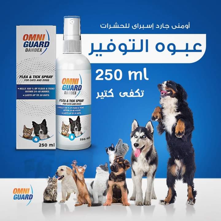 اومني جارد