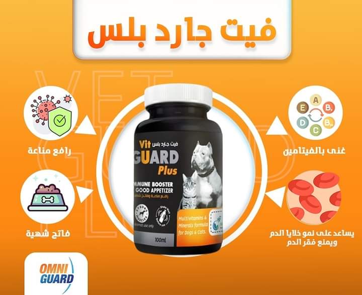 فيتامينات قطط كلاب