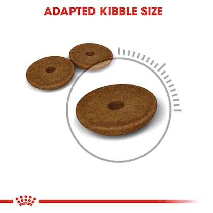 ROYAL CANIN digestive care kibble