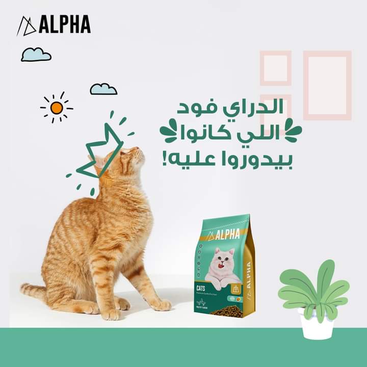 Alpha cat dry food 1 kg - Petfriend stores بتفريند ستورز