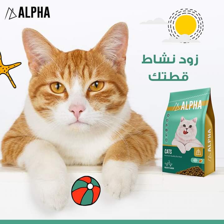 Alpha cat dry food 1 kg - Petfriend stores بتفريند ستورز
