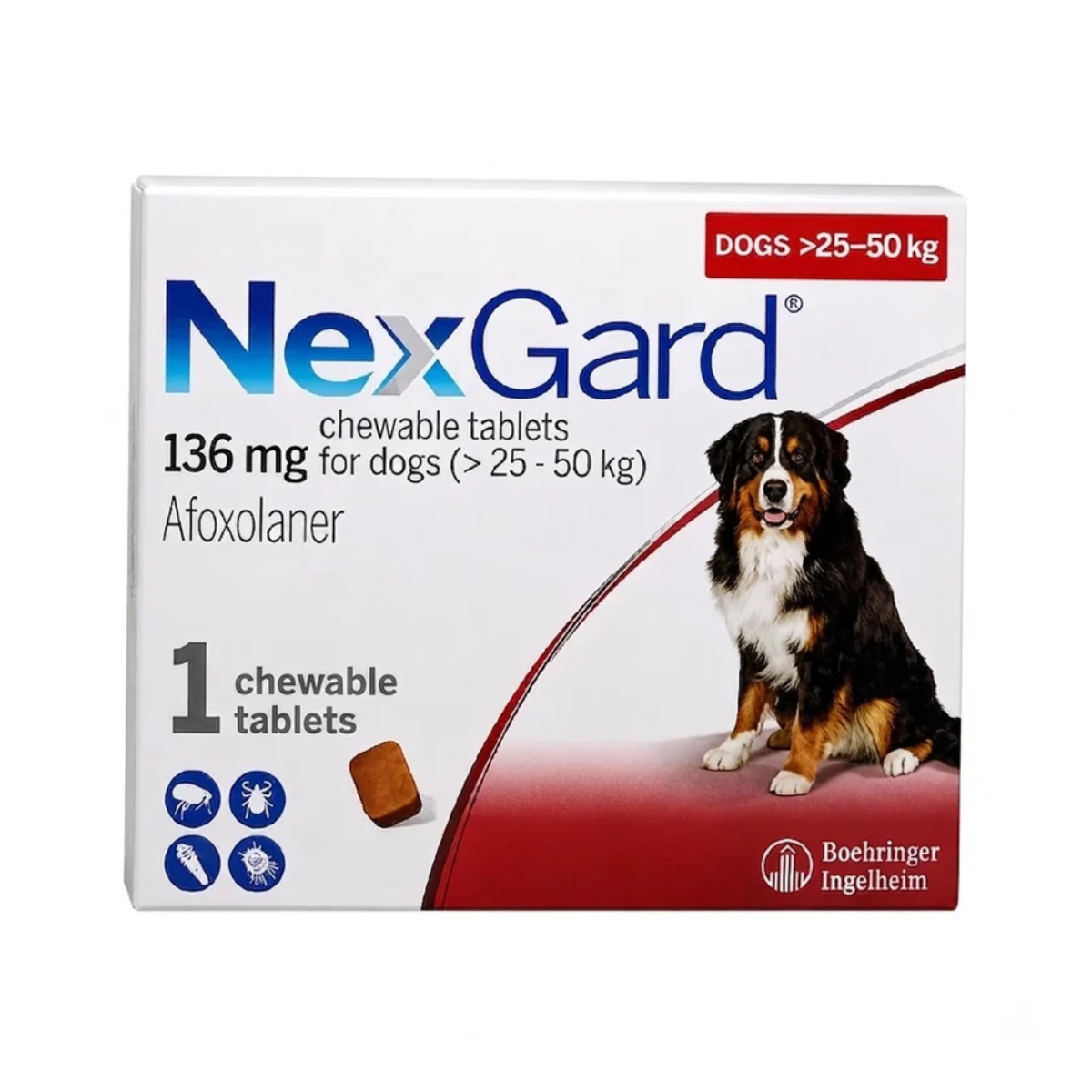 NEXGARD 25 - 50 kg | one tablet