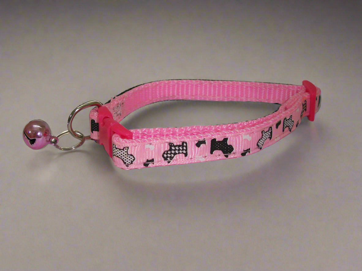 COLLAR FOR CATS