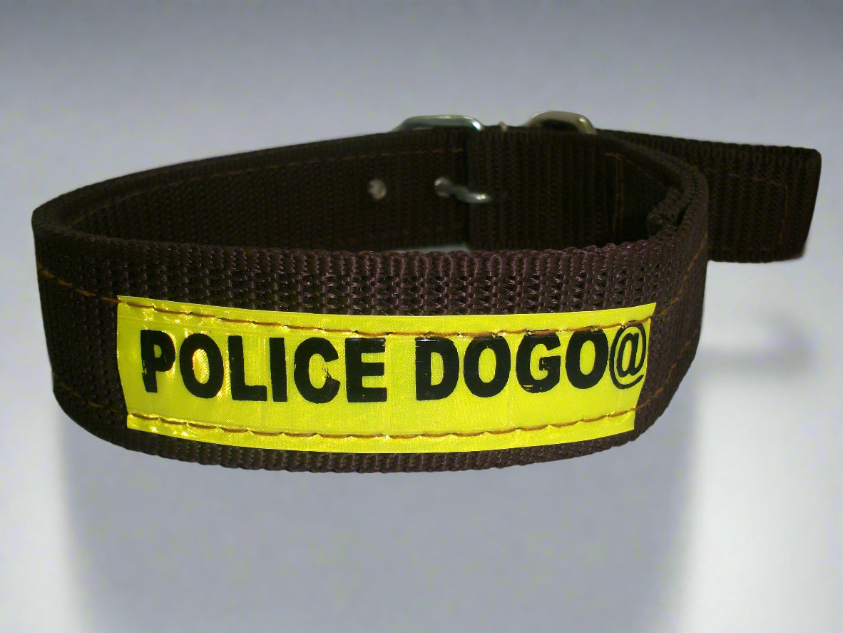 collar for dogs