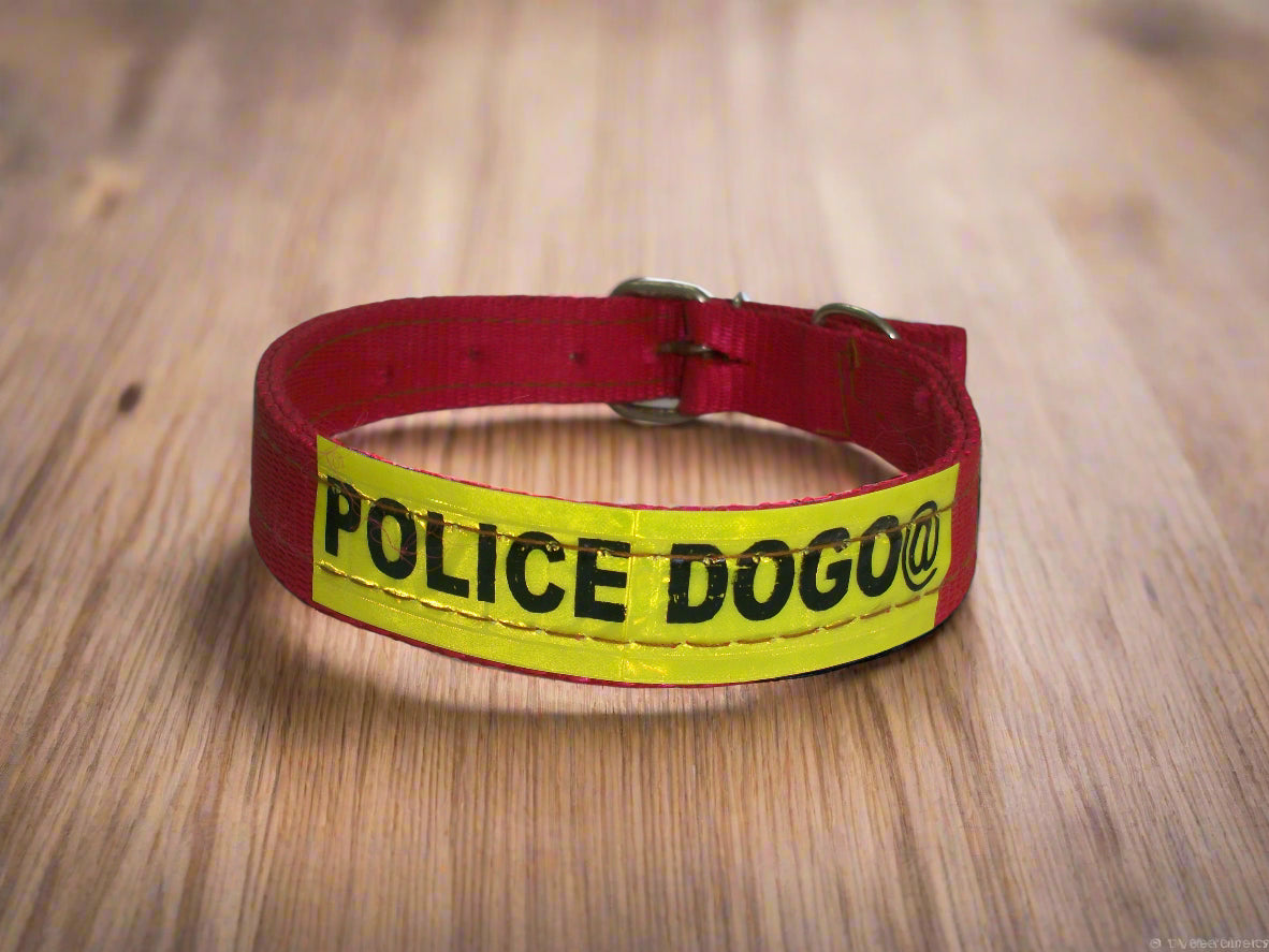 DOG COLLAR