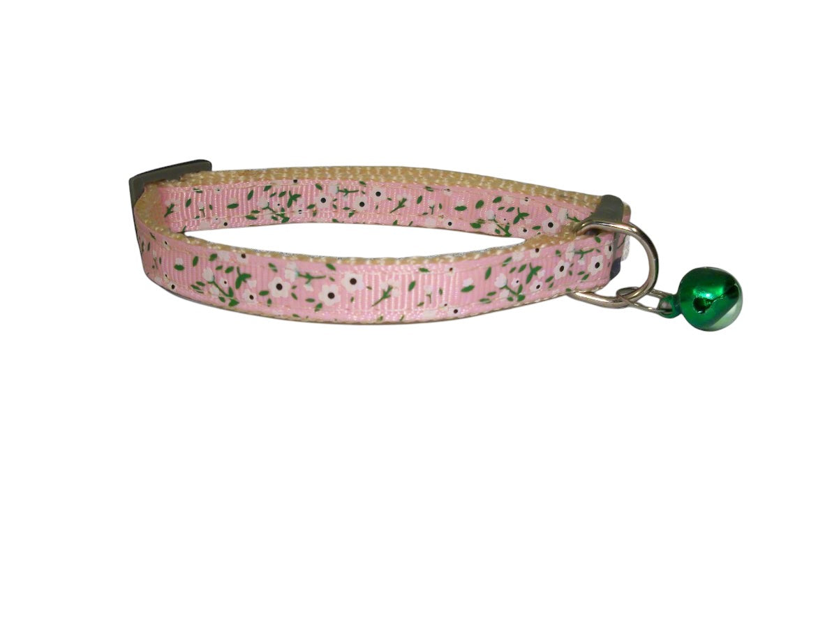 cat collar