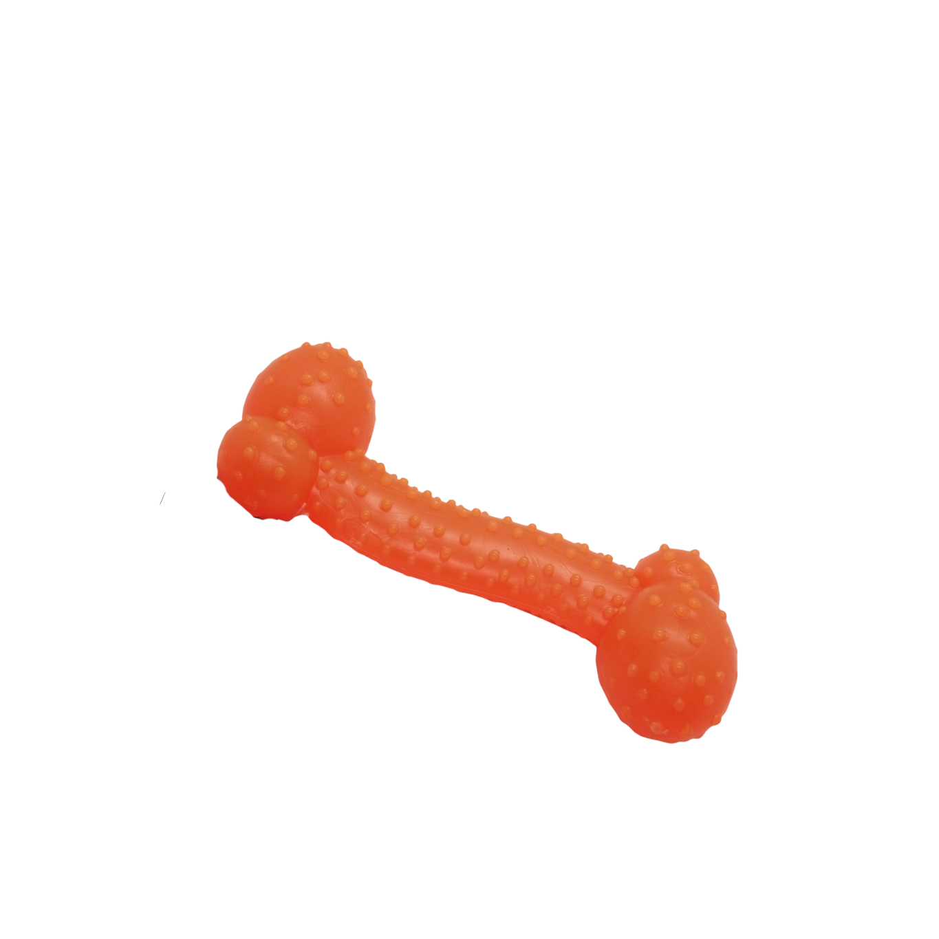 Large Dog Silicone teether toy - one piece