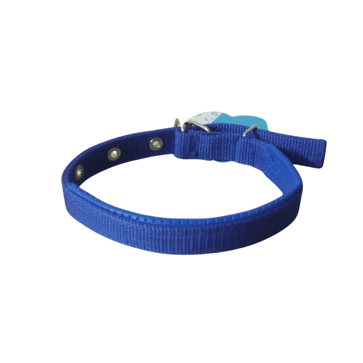Leather lined Dog collar