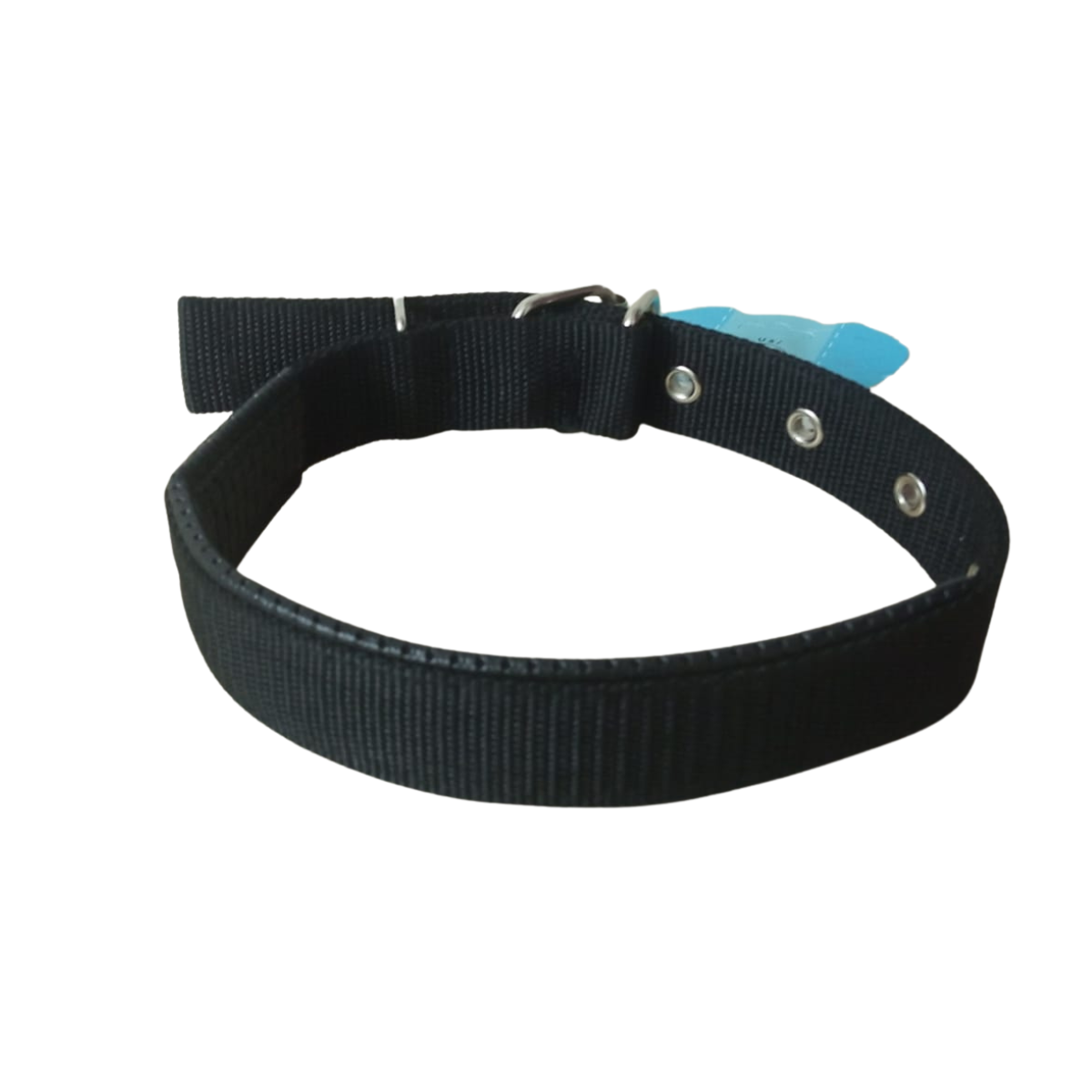 Leather lined Dog collar