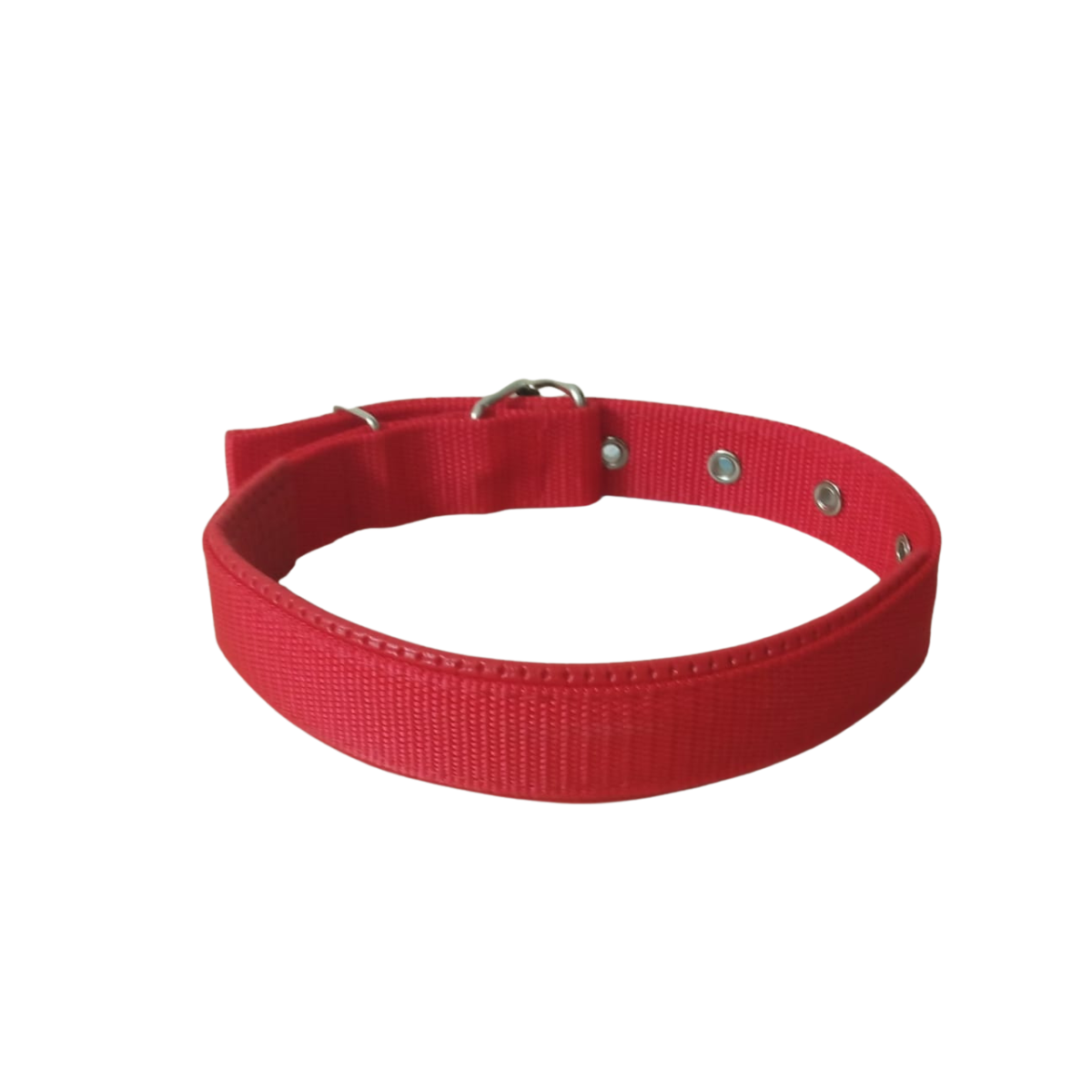 Leather lined Dog collar